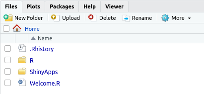 File explorer and Upload button on RStudio Server.