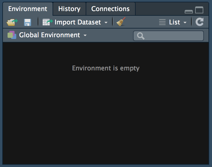 The environment window in RStudio.