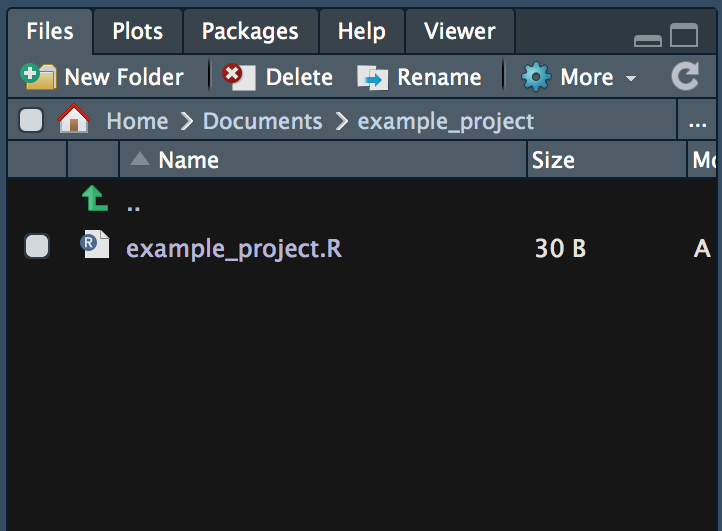 The file browser window in RStudio.